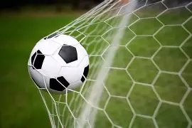 张馨予凌晨,揭露宠物盲,盒丑闻,大发彩票,大发彩票官网,dafa大发彩票官网,大发彩票官网玩家首选