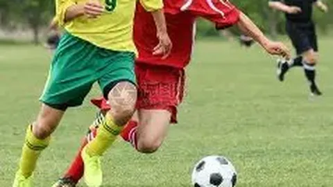 大发彩票 产品 093326 pet