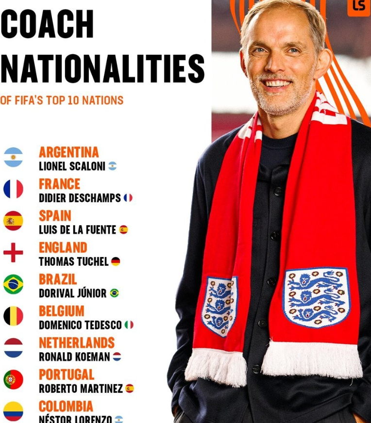 球员张帆的 球员张帆的